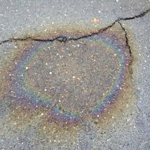 Meet your Posher, Cade